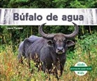 Grace Hansen - Bufalo de Agua (Water Buffalo)
