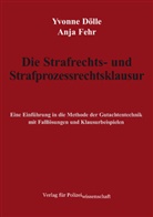 Yvonne Dölle, Anja Fehr - Die Strafrechts- und Strafprozessrechtsklausur