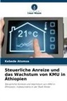 Kebede Atomsa - Steuerliche Anreize und das Wachstum von KMU in Äthiopien