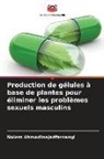 Naiem Ahmadinejadfarsangi - Production de gélules à base de plantes pour éliminer les problèmes sexuels masculins