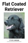 Fynn Hansen - Flat Coated Retriever