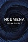 Aisha Tritle - Noumena