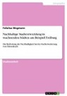 Felizitas Wegmann - Nachhaltige Stadtentwicklung in wachsenden Städten am Beispiel Freiburg