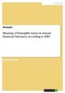 Anonym, Anonymous - Meaning of Intangible Assets in Annual Financial Statement according to IFRS