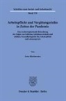 Lena Bleckmann - Arbeitspflicht und Vergütungsrisiko in Zeiten der Pandemie.