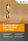Nora Voigt - Praxishandbuch SAP S/4HANA Controlling
