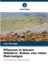 Luis Durrego - Pflanzen in blauen Wäldern: Anbau von roten Makroalgen