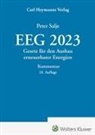 Peter Salje, Peter Salje - EEG 2023 - Kommentar
