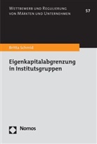 Britta Schmid - Eigenkapitalabgrenzung in Institutsgruppen