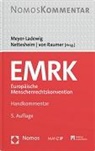 Jens Meyer-Ladewig, Martin Nettesheim, von Rau, Stefan von Raumer - EMRK Europäische Menschenrechtskonvention
