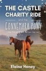 Elaine Heney - The Castle Charity Ride and the Connemara Pony - The Coral Cove Horses Series