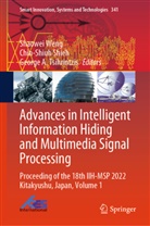 George A Tsihrintzis, Chin-Shiuh Shieh, George A. Tsihrintzis, Shaowei Weng - Advances in Intelligent Information Hiding and Multimedia Signal Processing