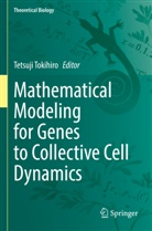 Tetsuji Tokihiro - Mathematical Modeling for Genes to Collective Cell Dynamics