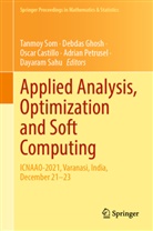 Oscar Castillo, Oscar Castillo et al, Debdas Ghosh, Adrian Petrusel, Dayaram Sahu, Tanmoy Som - Applied Analysis, Optimization and Soft Computing