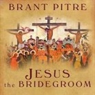 Brant Pitre, Mel Foster - Jesus the Bridegroom Lib/E: The Greatest Love Story Ever Told (Audio book)