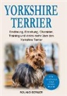 Roland Berger - Yorkshire Terrier