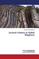 Ahmed Awad Abdelhady - Jurassic history in Gebel Maghara