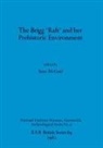 Sean McGrail - The Brigg 'Raft' and her Prehistoric Environment