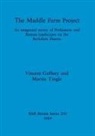 Vincent Gaffney, Martin Tingle - The Maddle Farm Project