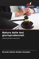 Ricardo Adrián Roldán González - Natura delle tesi giurisprudenziali
