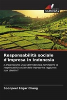 Soonpeel Edgar Chang - Responsabilità sociale d'impresa in Indonesia