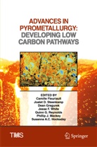 Joalet D Steenkamp, Camille Fleuriault, Dean Gregurek, Dean Gregurek et al, Susanna A. C. Hockaday, Susanna A.C. Hockaday... - Advances in Pyrometallurgy