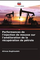 Alireza Baghizadeh - Performances de l'injection de mousse sur l'amélioration de la récupération de pétrole
