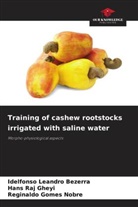Reginaldo Gomes Nobre, Idelfonso Leandro Bezerra, Hans Raj Gheyi - Training of cashew rootstocks irrigated with saline water