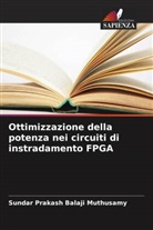 Sundar Prakash Balaji Muthusamy - Ottimizzazione della potenza nei circuiti di instradamento FPGA