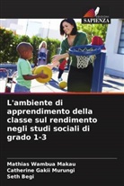Seth Begi, Mathias Wambua Makau, Catherine Gakii Murungi - L'ambiente di apprendimento della classe sul rendimento negli studi sociali di grado 1-3