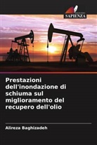 Alireza Baghizadeh - Prestazioni dell'inondazione di schiuma sul miglioramento del recupero dell'olio