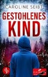 Caroline Seibt - Gestohlenes Kind