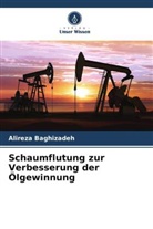 Alireza Baghizadeh - Schaumflutung zur Verbesserung der Ölgewinnung