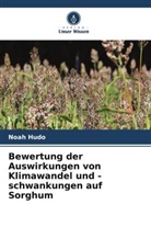 Noah Hudo - Bewertung der Auswirkungen von Klimawandel und -schwankungen auf Sorghum