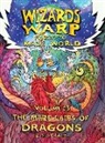 Nick DiLiberto - Wizards Warp