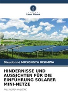 Dieudonné MUSONGYA BISIMWA - HINDERNISSE UND AUSSICHTEN FÜR DIE EINFÜHRUNG SOLARER MINI-NETZE