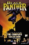 Vince Evans, Christopher Priest, Joe Quesada, Mark Texeira - Black Panther