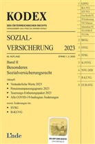 Elisabeth Brameshuber, Werner Doralt - KODEX Sozialversicherung 2023, Band II