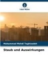 Mohammad Mehdi Taghizadeh - Staub und Auswirkungen