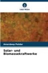 Amardeep Potdar - Solar- und Biomassekraftwerke