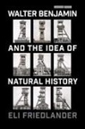 Eli Friedlander - Walter Benjamin and the Idea of Natural History