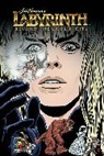 Delilah S. Dawnson, Delilah S Dawson, Delilah S. Dawson, Delilah S. Dawnson, Gustavo Duarte, Steve Foxe... - Jim Henson's Labyrinth: Complete Short Story Collection SC