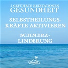Alan Fields, Ohrinsel - Gesundheit und Schmerzlinderung - Geführte Meditationen, Audio-CD (Hörbuch)