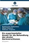 Adham Kasymov, Bakhtiyorjon Matkarimov, Turgunov, Abdinosir Turgunov - Ein experimenteller Ansatz für die Behandlung des akuten Darmverschlusses