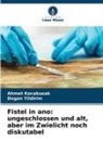 Ahmet Kocakusak, Dogan Yildirim - Fistel in ano: ungeschlossen und alt, aber im Zwielicht noch diskutabel