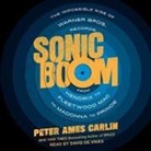 Peter Ames Carlin, David De Vries - Sonic Boom Lib/E: The Impossible Rise of Warner Bros. Records, from Hendrix to Fleetwood Mac to Madonna to Prince (Hörbuch)