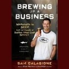 Sam Calagione, Kris Koscheski - Brewing Up a Business Lib/E: Adventures in Beer from the Founder of Dogfish Head Craft Brewery (Audio book)