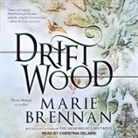 Marie Brennan, Christina Delaine - Driftwood Lib/E (Audio book)