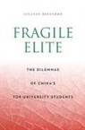 Susanne Bregnbaek - Fragile Elite