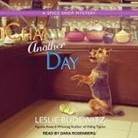 Leslie Budewitz, Dara Rosenberg - Chai Another Day (Audio book)